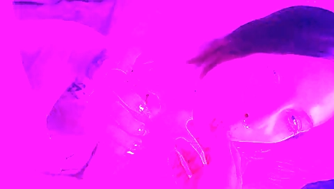 She's arading and tak curiosity nicolette for dominica